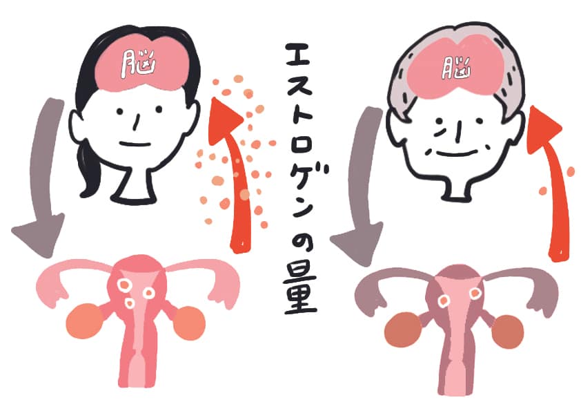 自由が丘の整体【ナチュラルカイロプラクティック院】